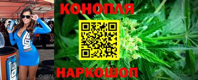 бошки Будённовск