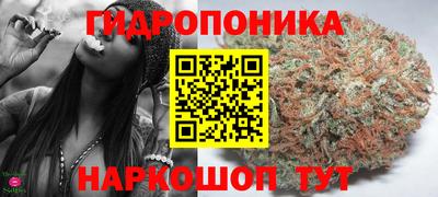 бошки Будённовск